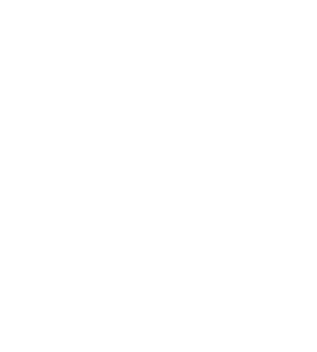 CFK ChickN — Fried Kitchen